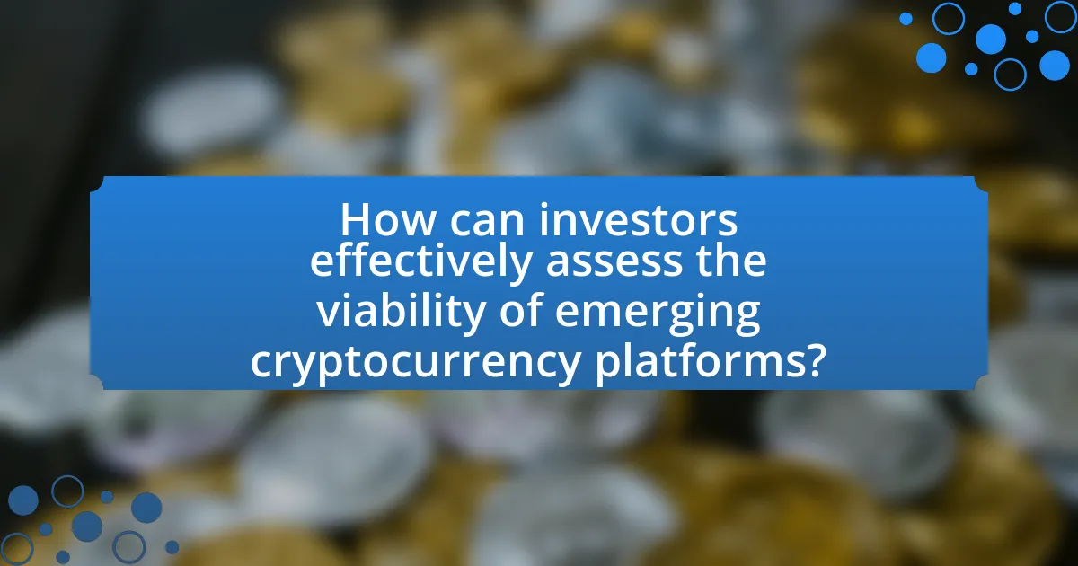How can investors effectively assess the viability of emerging cryptocurrency platforms?