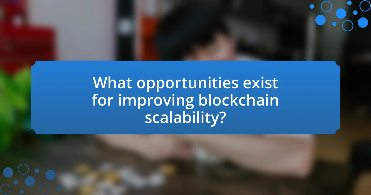What opportunities exist for improving blockchain scalability?